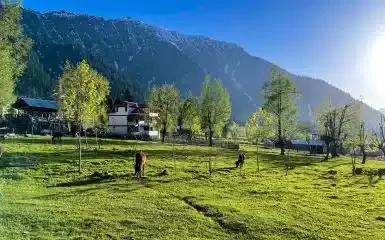 beautiful-landscape-arang-kel-kashmir-with-green-fields-local-houses-with-hidden-clouds-scaled-r5xvjg5eb6yn96n592zqk1z3sahjujy74qtp7rsn8g